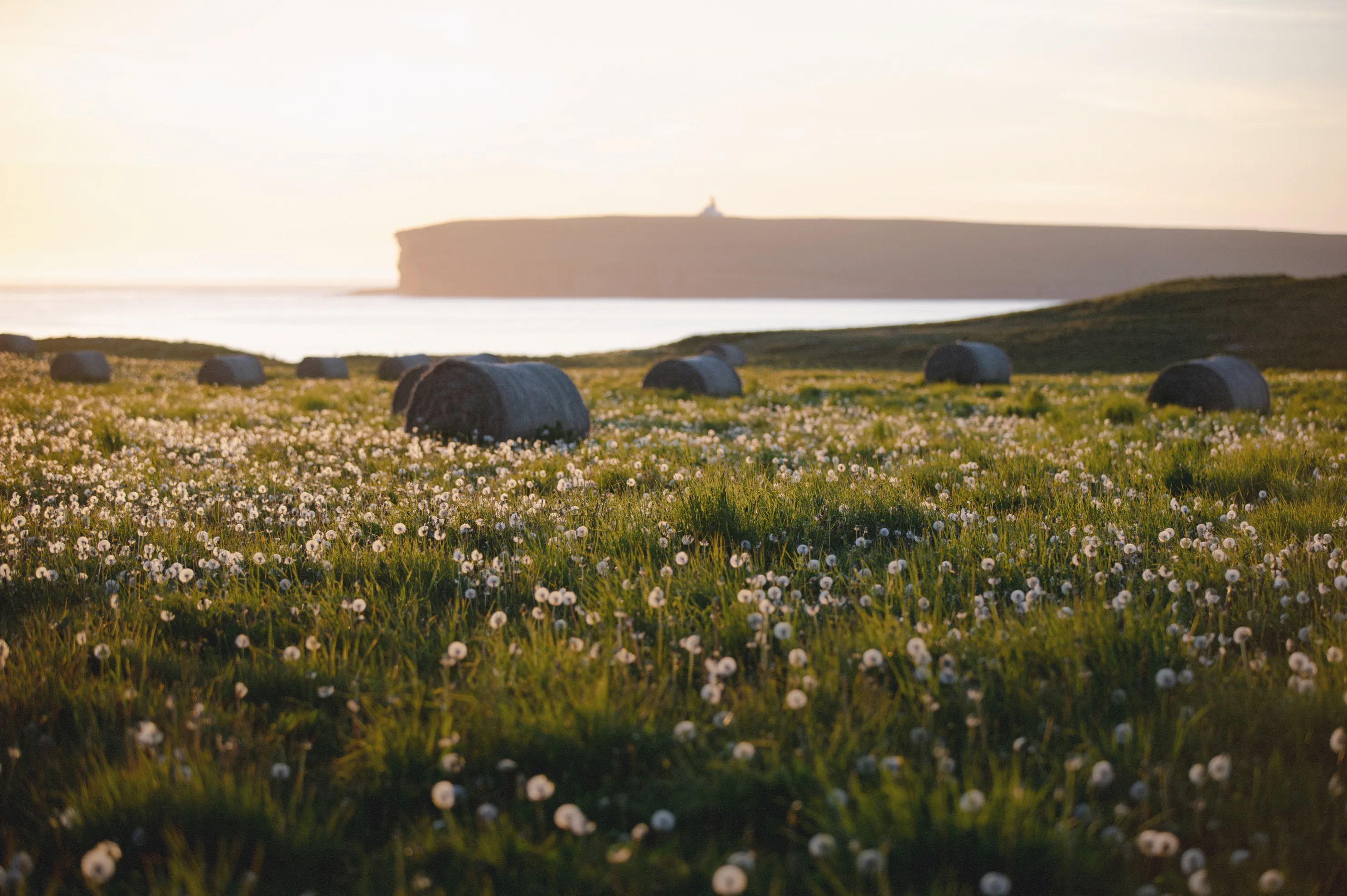 Orkney landscape